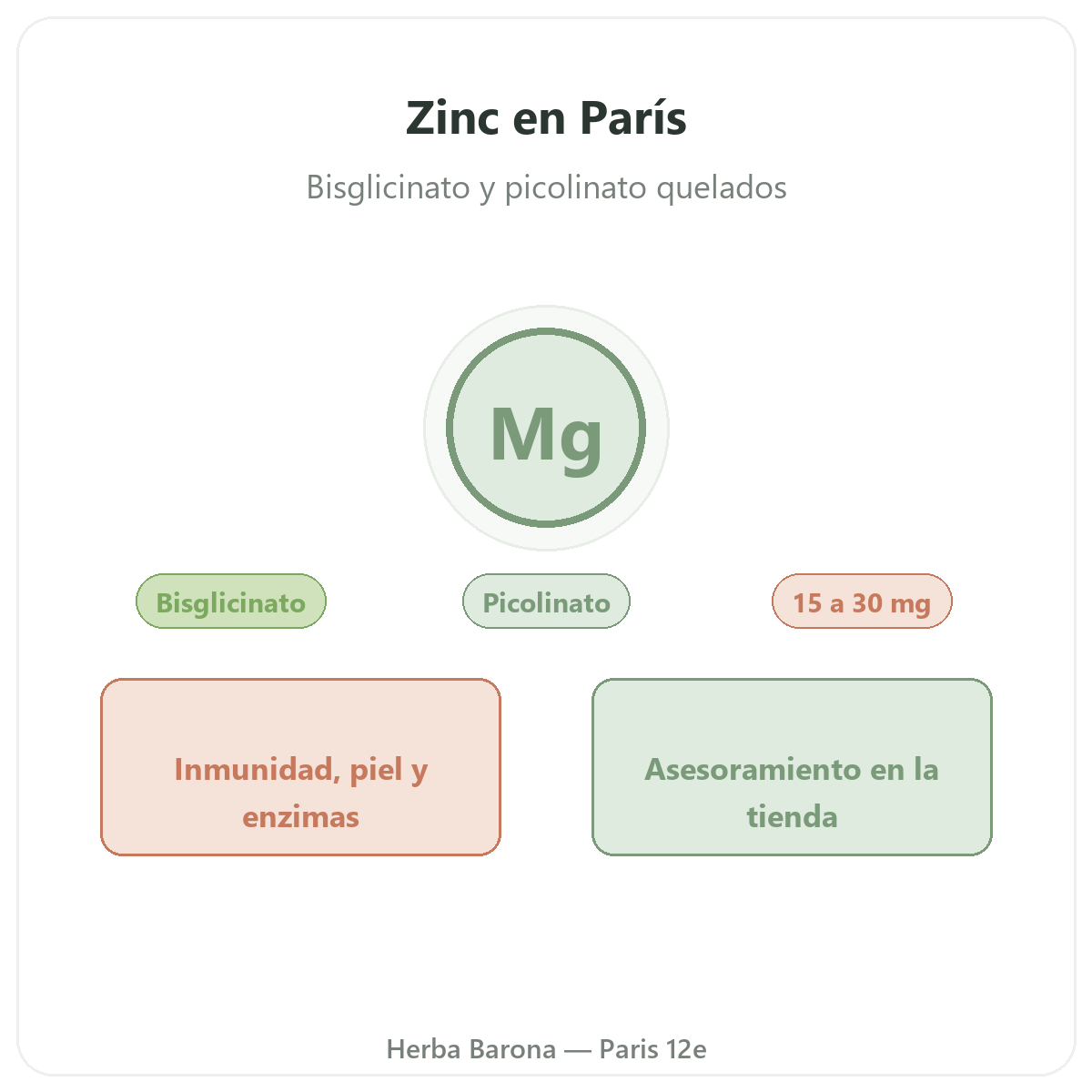 Zinc en París - en Herba Barona París 12e