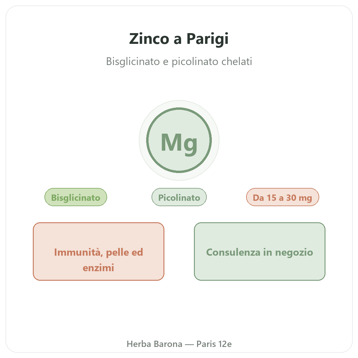 Zinco a Parigi - da Herba Barona Parigi 12e
