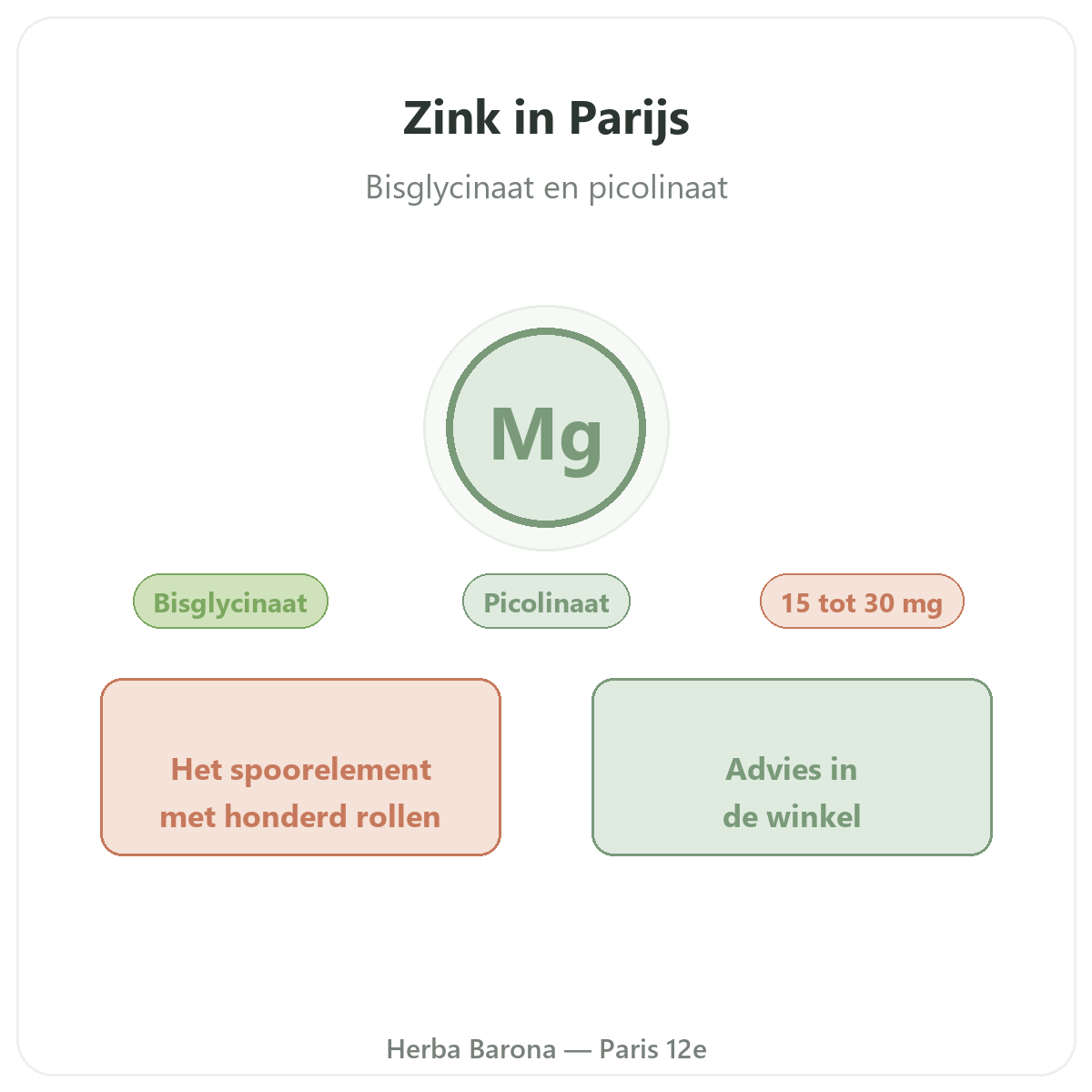 Zinc a Paris - chez Herba Barona Paris 12e