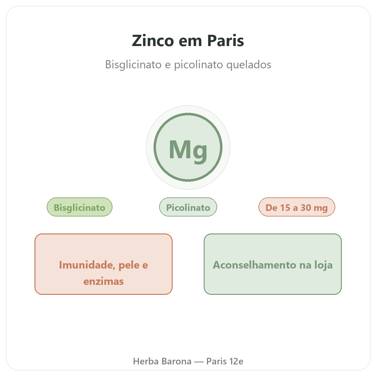 Zinco em Paris - na Herba Barona Paris 12e