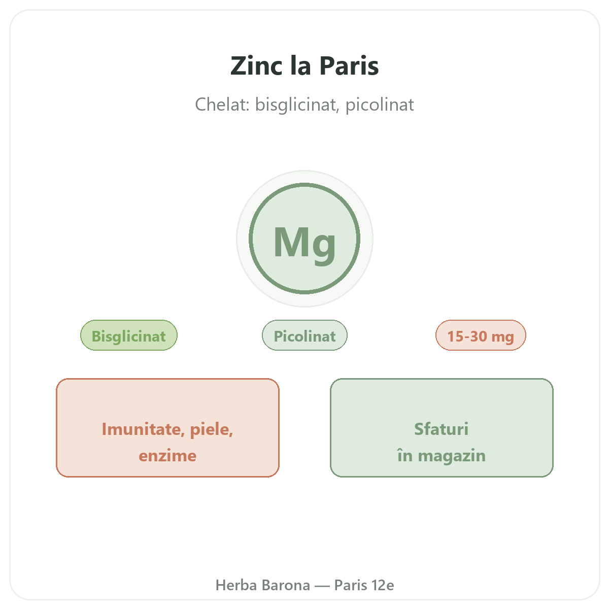 Zinc la Paris - la Herba Barona Paris, arondismentul 12