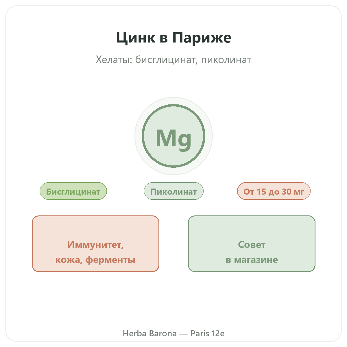 Цинк в Париже — в магазине Herba Barona, Париж, 12-й округ