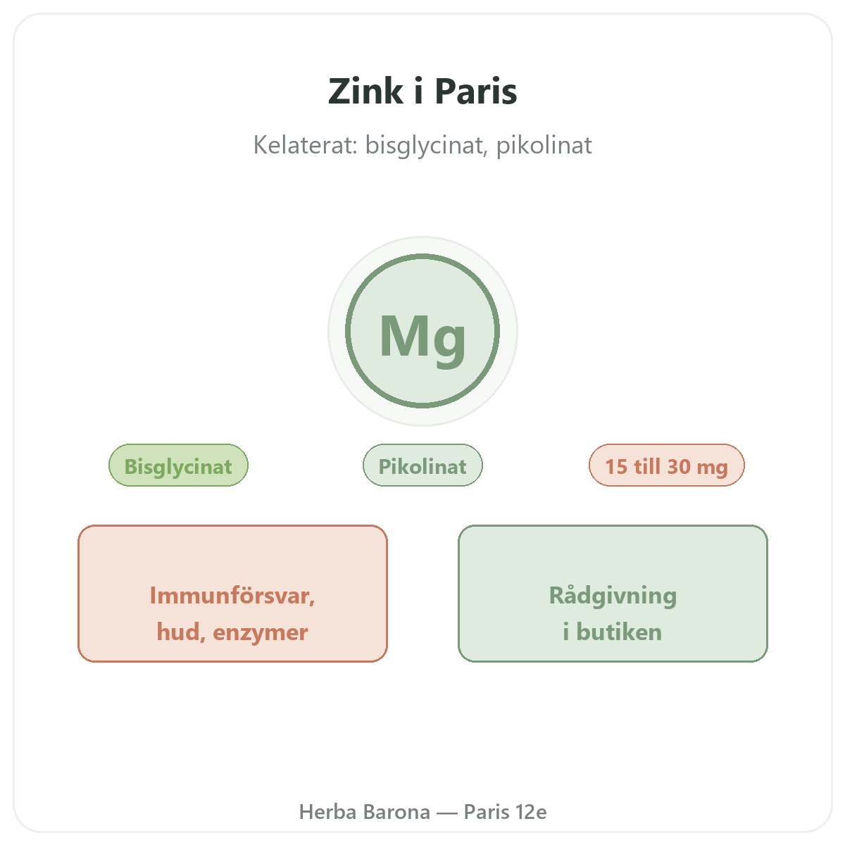 Zink i Paris – hos Herba Barona Paris 12e