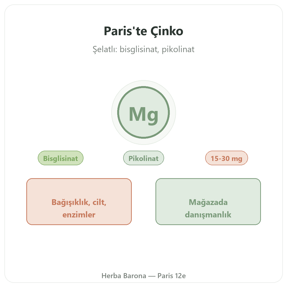 Paris’te Çinko - Herba Barona Paris 12. bölge