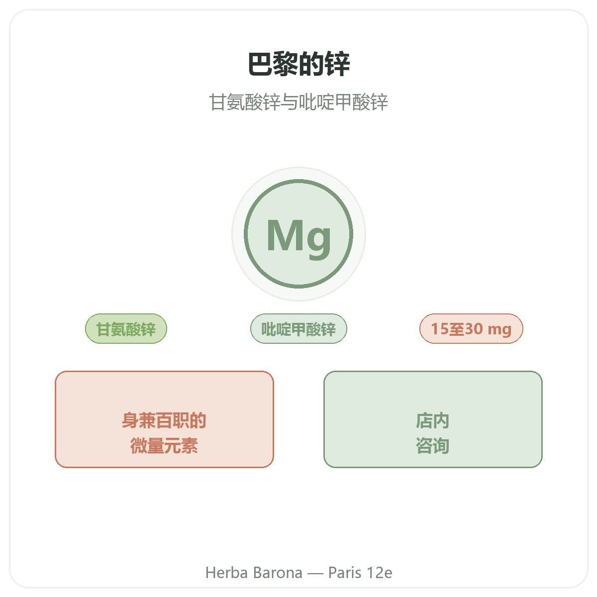 锌 巴黎 - Herba Barona巴黎12区