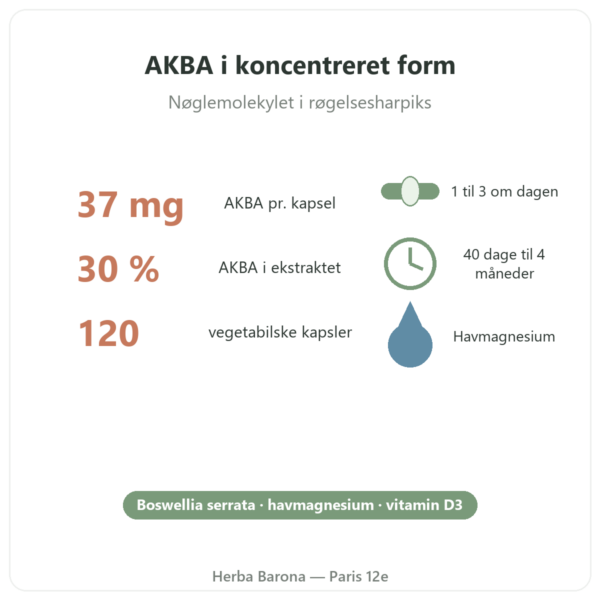 AKBA30 Boswellia serrata 30 % AKBA – Vital Osmose – 120 kapsler fordele og fakta Paris Herba Barona