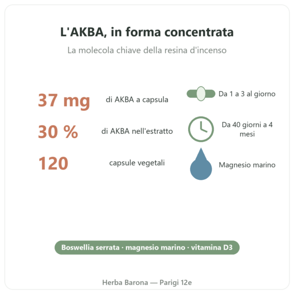AKBA30 Boswellia serrata 30 % AKBA – Vital Osmose – 120 capsule benefici e dati Paris Herba Barona