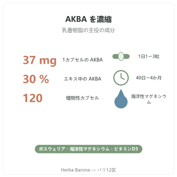 Vital Osmose AKBA30 ボスウェリア AKBA30% 120カプセル 特長とデータ Paris Herba Barona