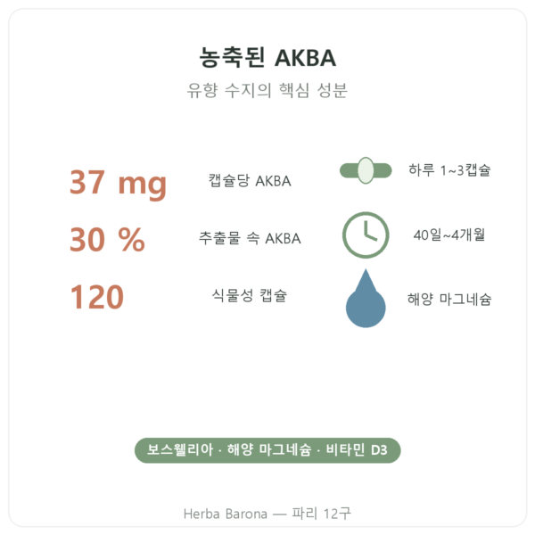 Vital Osmose AKBA30 보스웰리아 AKBA 30% 120캡슐 장점과 데이터 Paris Herba Barona