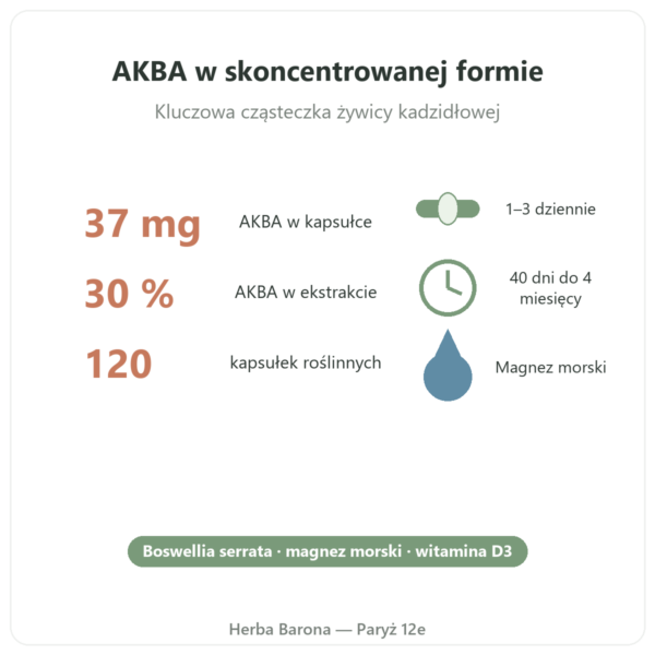 AKBA30 Boswellia serrata 30 % AKBA – Vital Osmose – 120 kapsułek korzyści i dane Paris Herba Barona