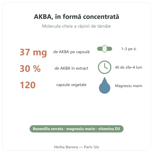 AKBA30 Boswellia serrata 30 % AKBA – Vital Osmose – 120 capsule beneficii și cifre Paris Herba Barona