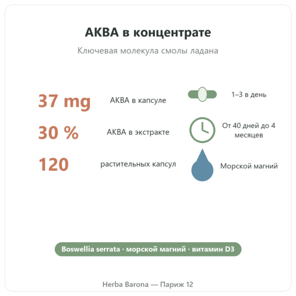 AKBA30 Boswellia serrata 30 % AKBA – Vital Osmose – 120 капсул польза и цифры Paris Herba Barona