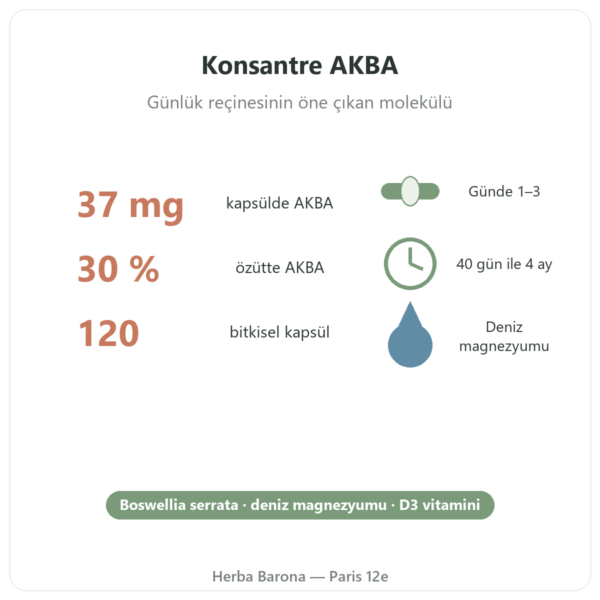 AKBA30 Boswellia serrata AKBA – Vital Osmose – 120 kapsül faydalar ve rakamlar Paris Herba Barona