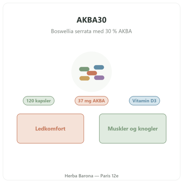 AKBA30 Boswellia serrata 30 % AKBA – Vital Osmose – 120 kapsler præsentation Paris Herba Barona