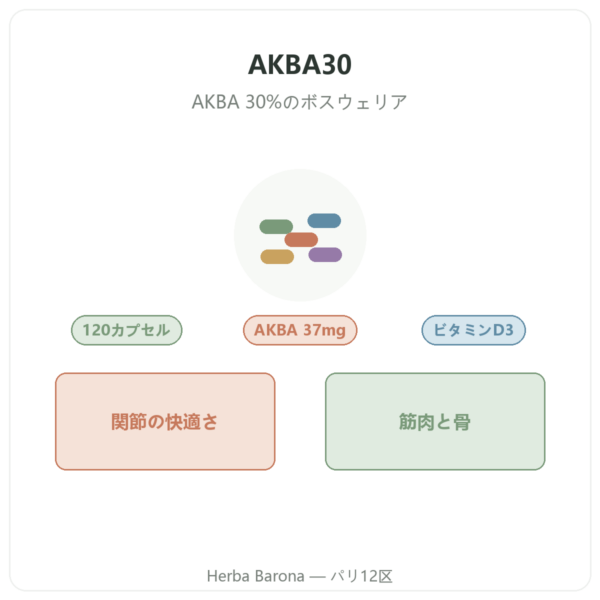 Vital Osmose AKBA30 ボスウェリア AKBA30% 120カプセル 商品紹介 Paris Herba Barona