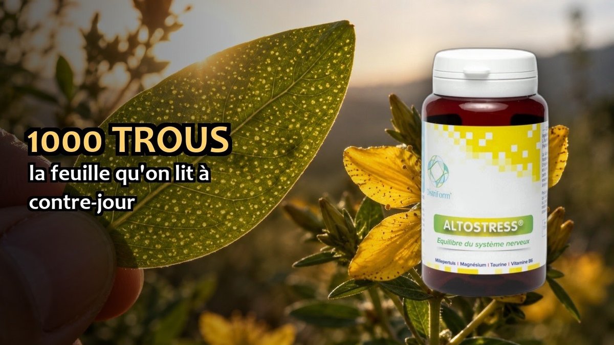 Vidéo Altostress Distriform' Altostress Distriform 100 gélules Paris Herba Barona