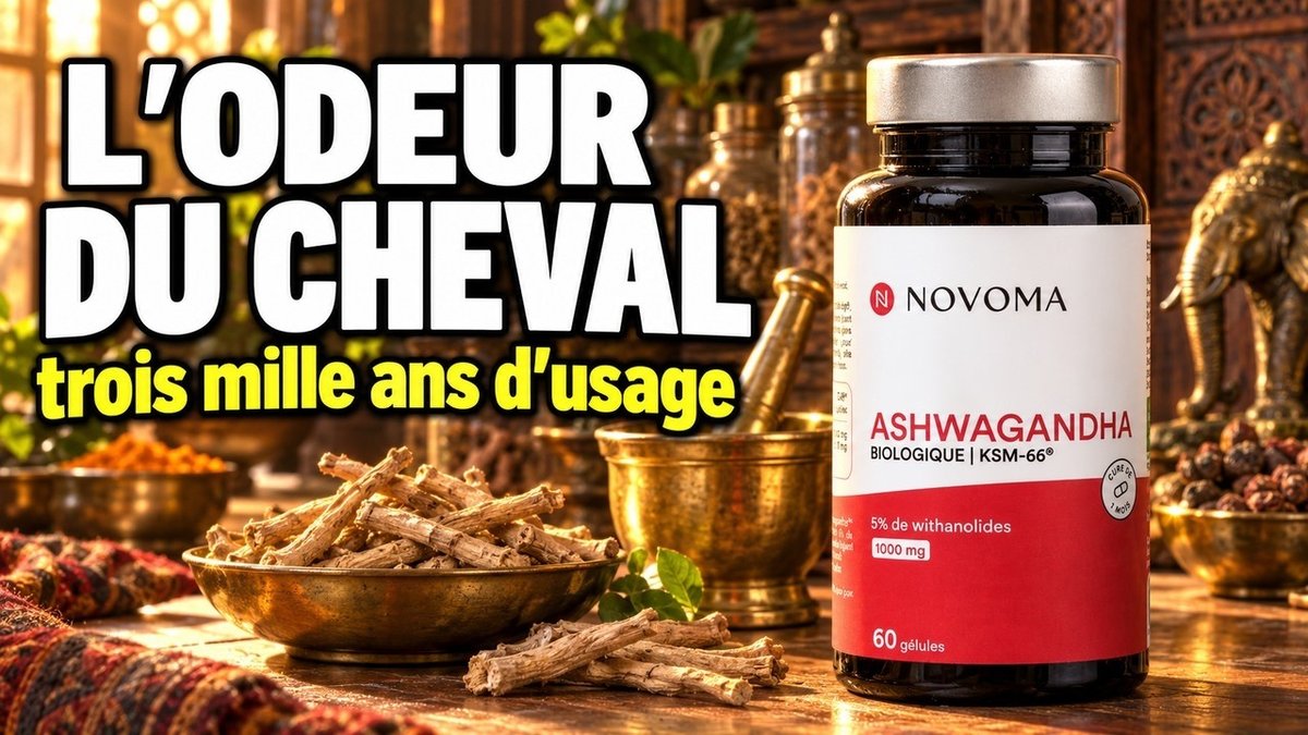 Βίντεο Ashwagandha βιολογική KSM-66® – Novoma – 60 κάψουλες Παρίσι Herba Barona