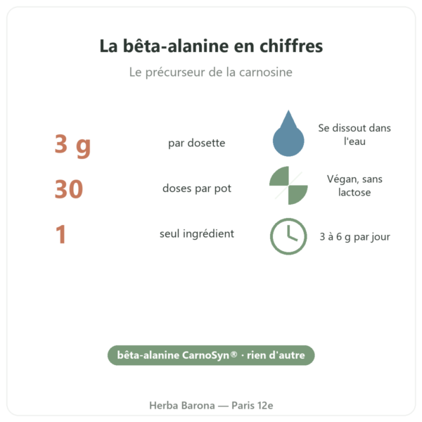 Bêta-Alanine CarnoSyn® Nutripure 90 g bienfaits et chiffres Paris Herba Barona