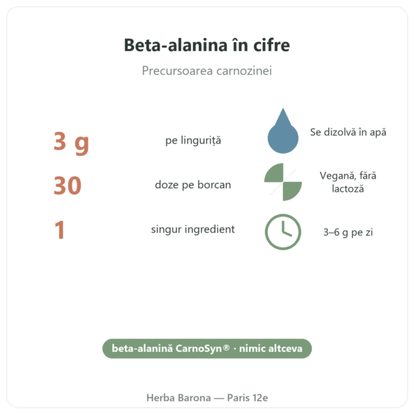 Beta-alanină CarnoSyn® Nutripure 90 g beneficii și cifre Paris Herba Barona