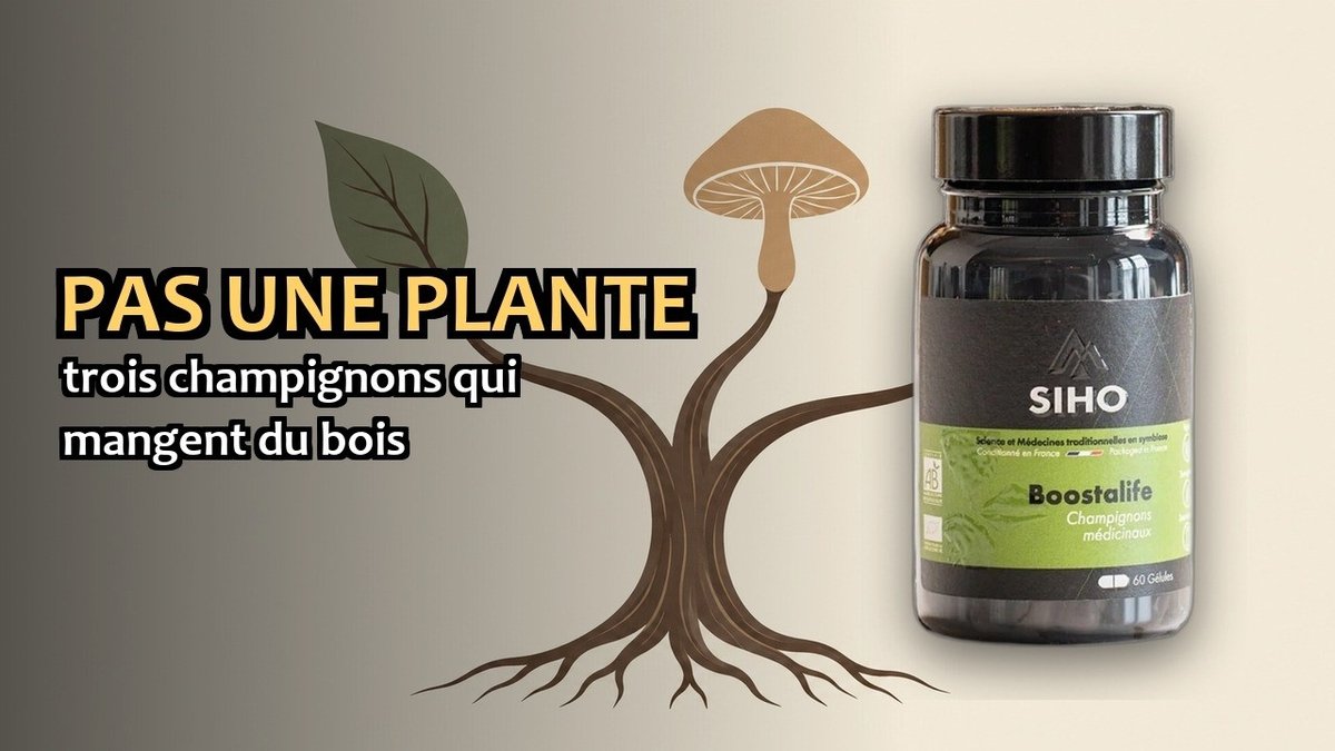 Vidéo Boostalife SIHO Boostalife Bio Paris Herba Barona