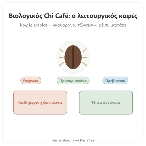 Chi café BIO Στιγμιαίος Dr Jacob's 400 g presentation Paris Herba Barona