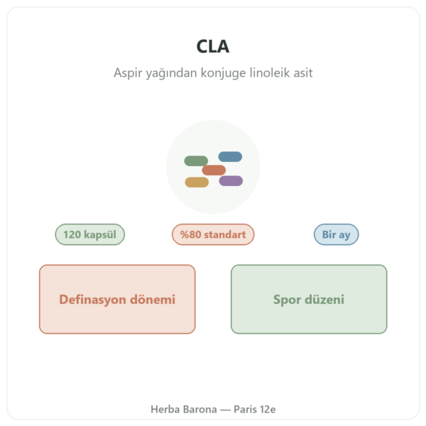 CLA 120 Kapsül – Nutrimuscle tanıtım Paris Herba Barona