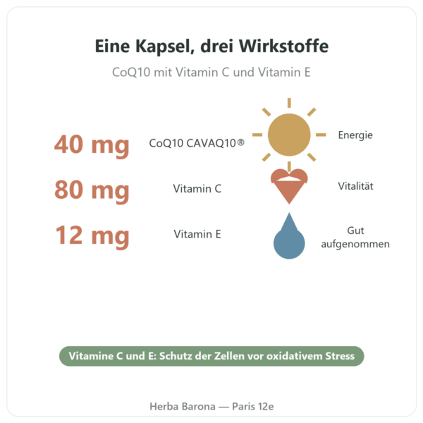 Coenzym Q10 Novoma Vorteile und Fakten Paris Herba Barona