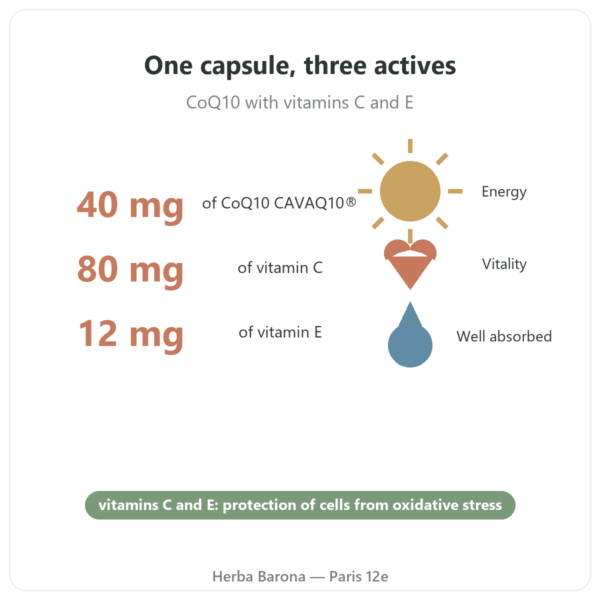 Coenzyme Q10 Novoma benefits and key facts Paris Herba Barona