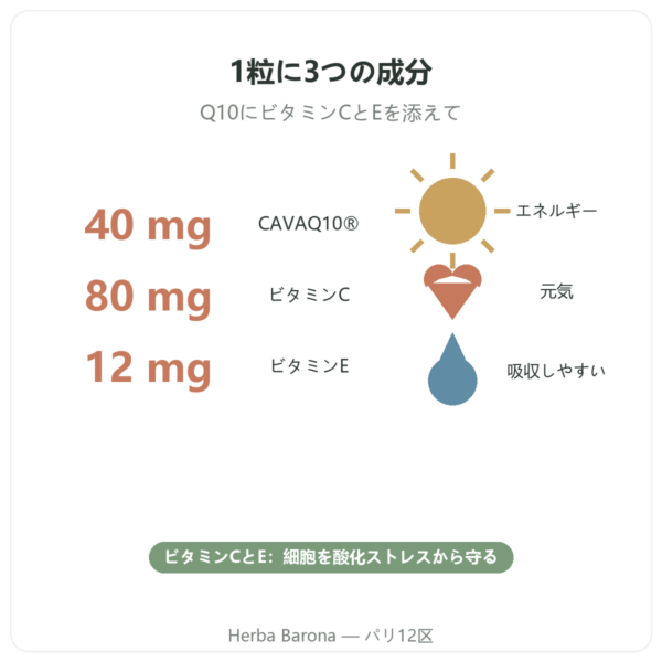 Novoma コエンザイムQ10 特長とデータ Paris Herba Barona
