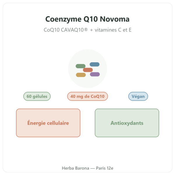 Coenzyme Q10 Novoma 60 gélules présentation Paris Herba Barona