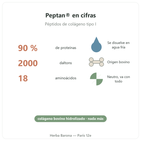 Péptidos de colágeno Peptan® Nutripure sabor neutro 310 g puntos clave y cifras Paris Herba Barona