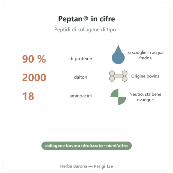 Peptidi di collagene Peptan® Nutripure gusto neutro 310 g punti chiave e cifre Paris Herba Barona