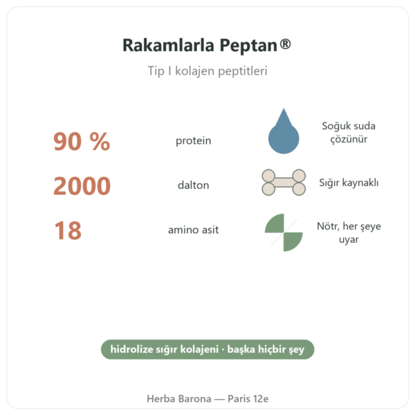 Peptan® Kolajen Peptitleri Nutripure nötr 310 g özellikler ve temel rakamlar Paris Herba Barona