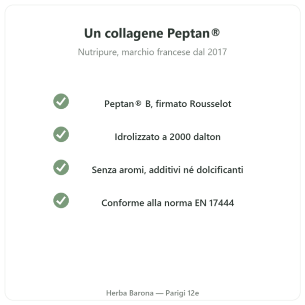 Peptidi di collagene Peptan® Nutripure gusto neutro 310 g qualità Paris Herba Barona