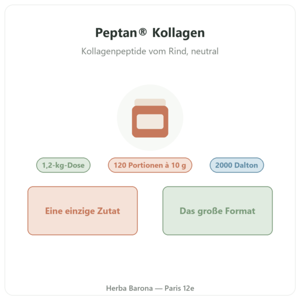 Peptan® Kollagenpeptide Nutripure neutral 1,2-kg-Dose Präsentation Paris Herba Barona