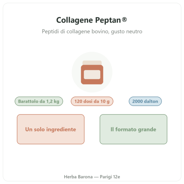 Peptidi di collagene Peptan® Nutripure gusto neutro barattolo da 1,2 kg presentazione Paris Herba Barona