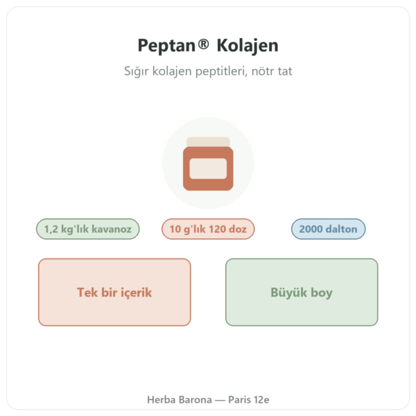 Peptan® Kolajen Peptitleri Nutripure nötr 1,2 kg kavanoz tanıtım Paris Herba Barona