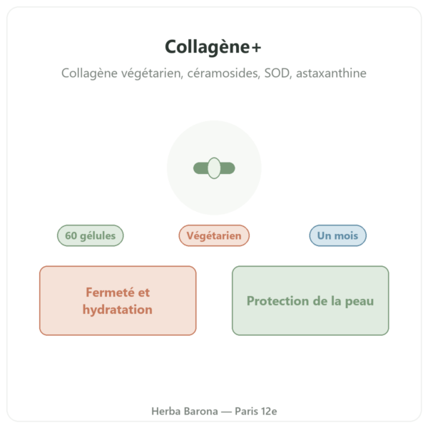 Collagène+ 60 gélules SIHO présentation Paris Herba Barona