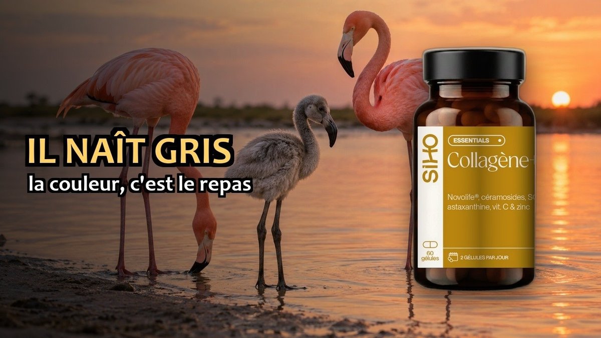 Vidéo Collagène+ SIHO Paris Herba Barona