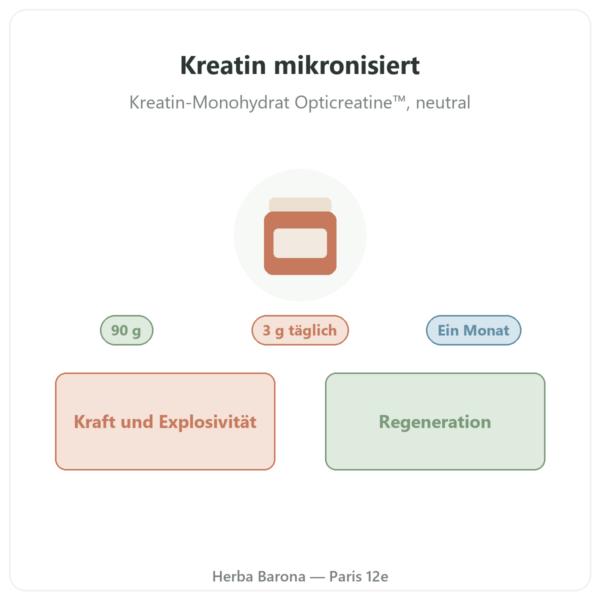 Kreatin mikronisiert Opticreatine 90 g – Nutrimuscle Vorstellung Paris Herba Barona