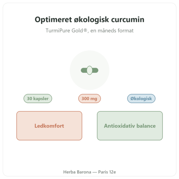 Optimeret økologisk curcumin 30 kapsler – Dynveo præsentation Paris Herba Barona