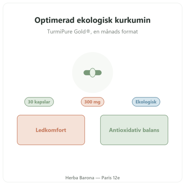 Optimerad ekologisk kurkumin 30 kapslar – Dynveo presentation Paris Herba Barona