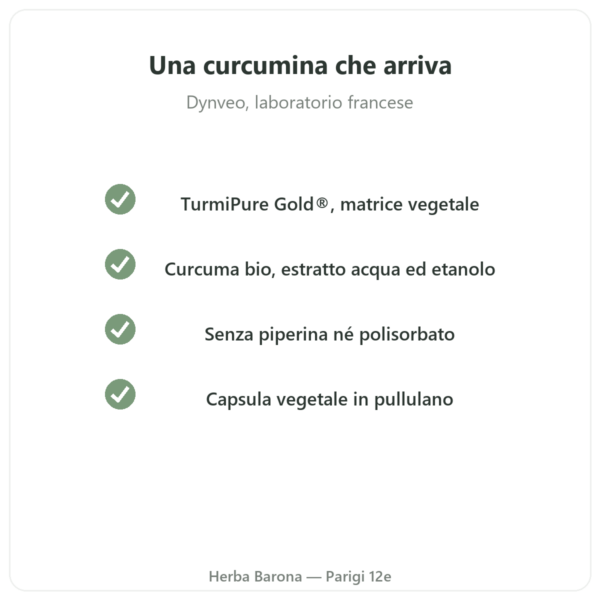 Curcumina bio ottimizzata 30 capsule – Dynveo qualità Paris Herba Barona