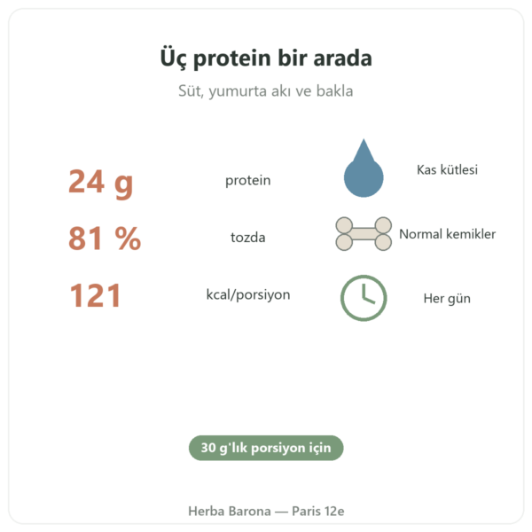 Daily Protein Nutripure Nötr 750 g faydalar ve rakamlar Paris Herba Barona