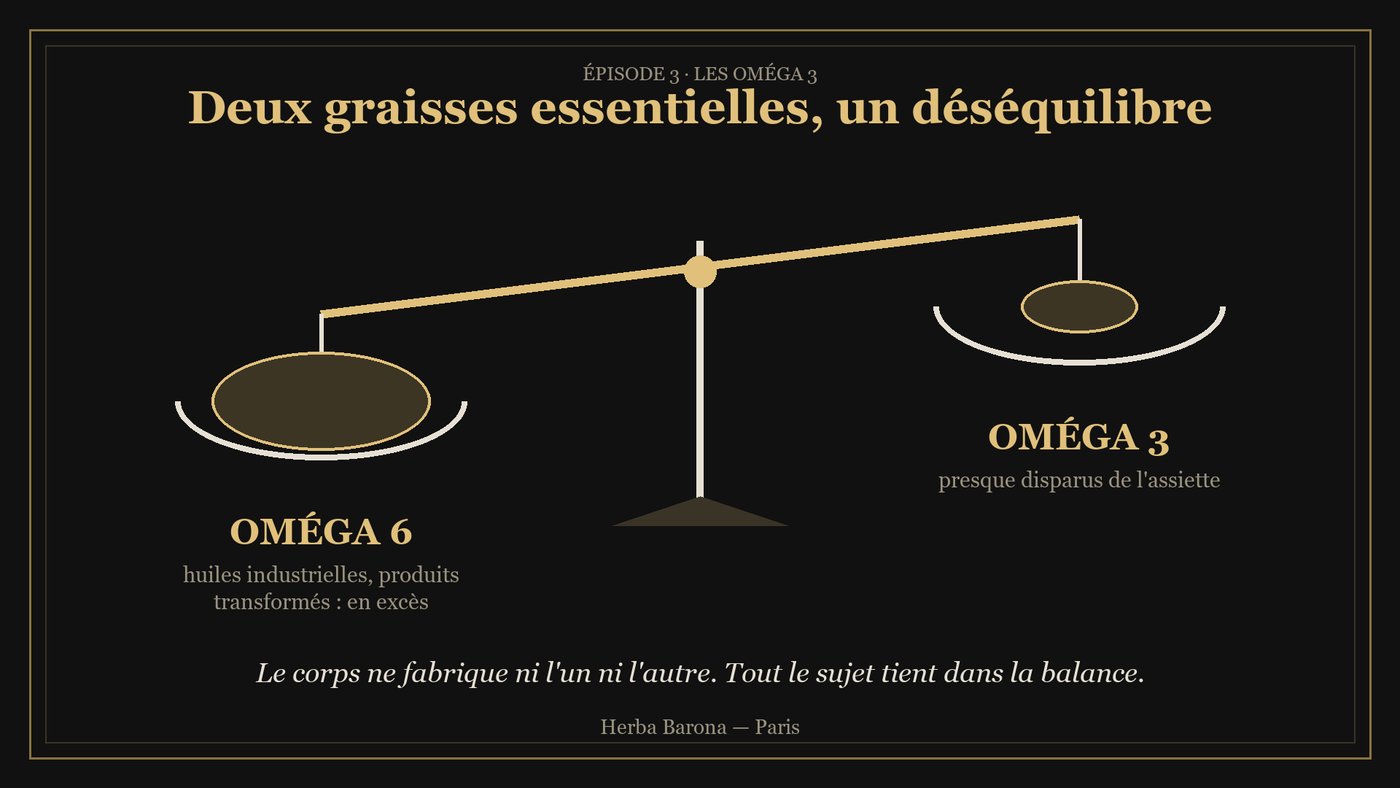 Schéma : balance entre oméga 6 en excès et oméga 3 presque disparus de l'assiette