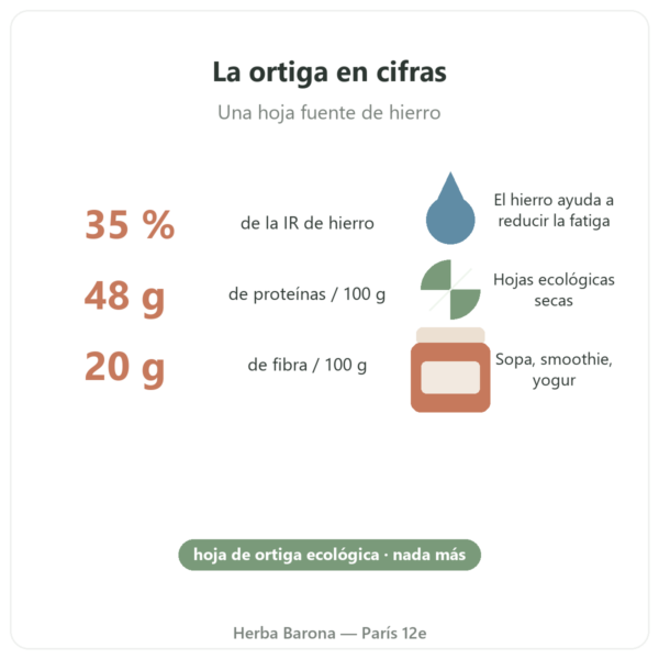 Hojas de ortiga ecológicas en polvo Nutripure – 150 g beneficios y datos Paris Herba Barona