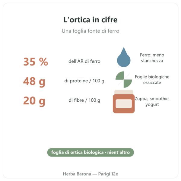 Foglie di ortica biologiche in polvere Nutripure – 150 g benefici e dati Paris Herba Barona