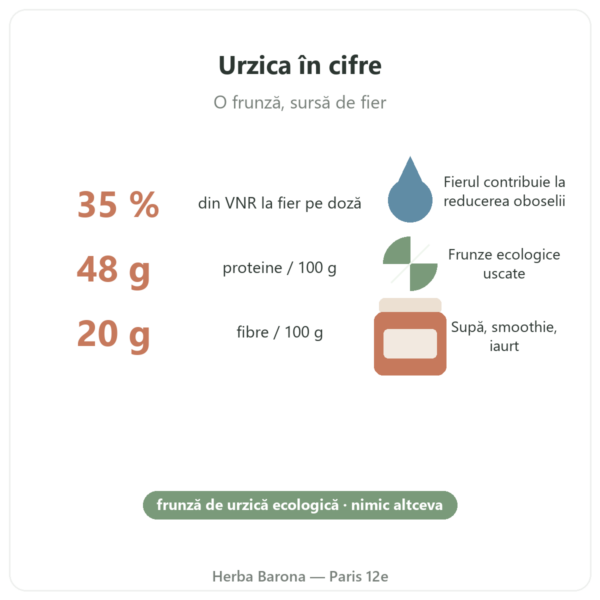 Frunze de urzică ecologice pulbere Nutripure – 150 g beneficii și cifre Paris Herba Barona
