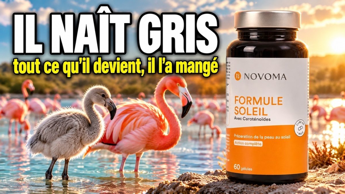 Vidéo Formule Soleil – Novoma – 60 gélules Paris Herba Barona