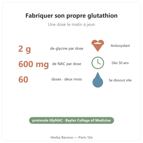 Glycine NAC 156 g SIHO bienfaits Paris Herba Barona